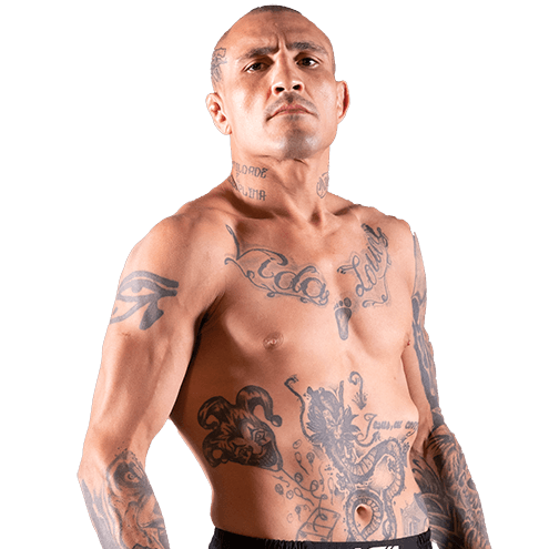 Renato Gomes Gabriel