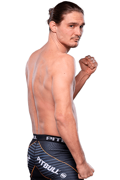 Predrag Bogdanović