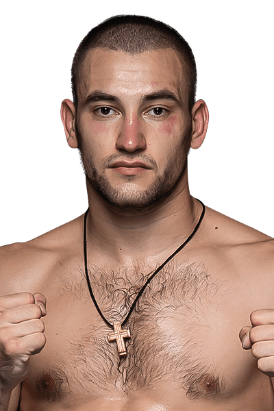 Stevan Nikolič