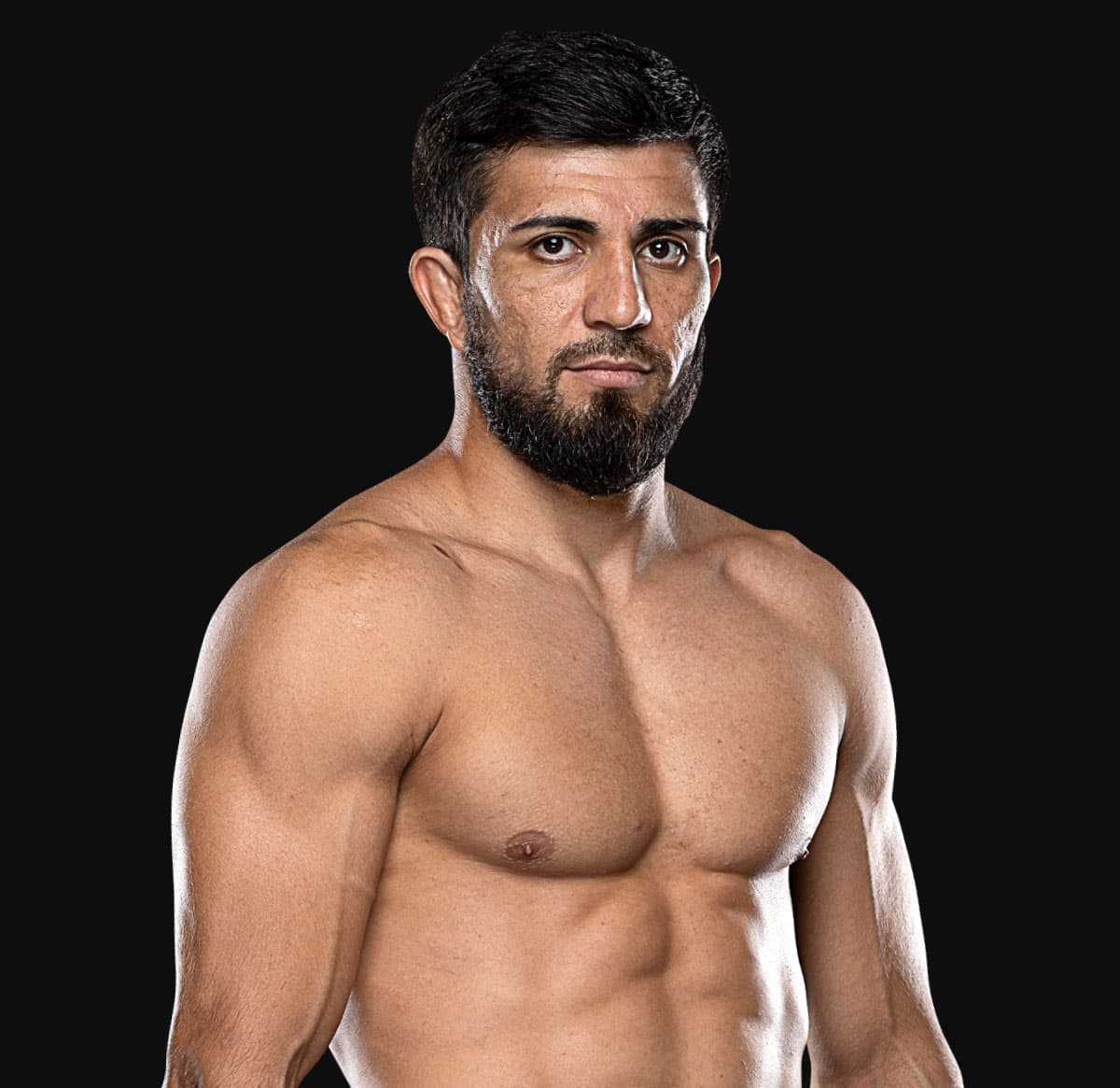 Halil Amir
