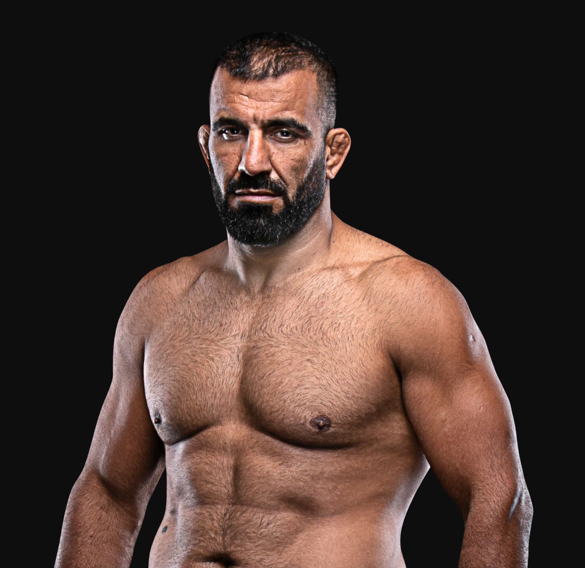 Arash Mardani