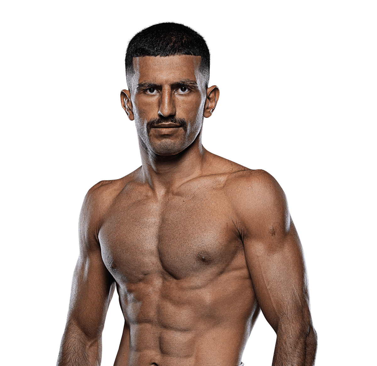 Arman Moradi