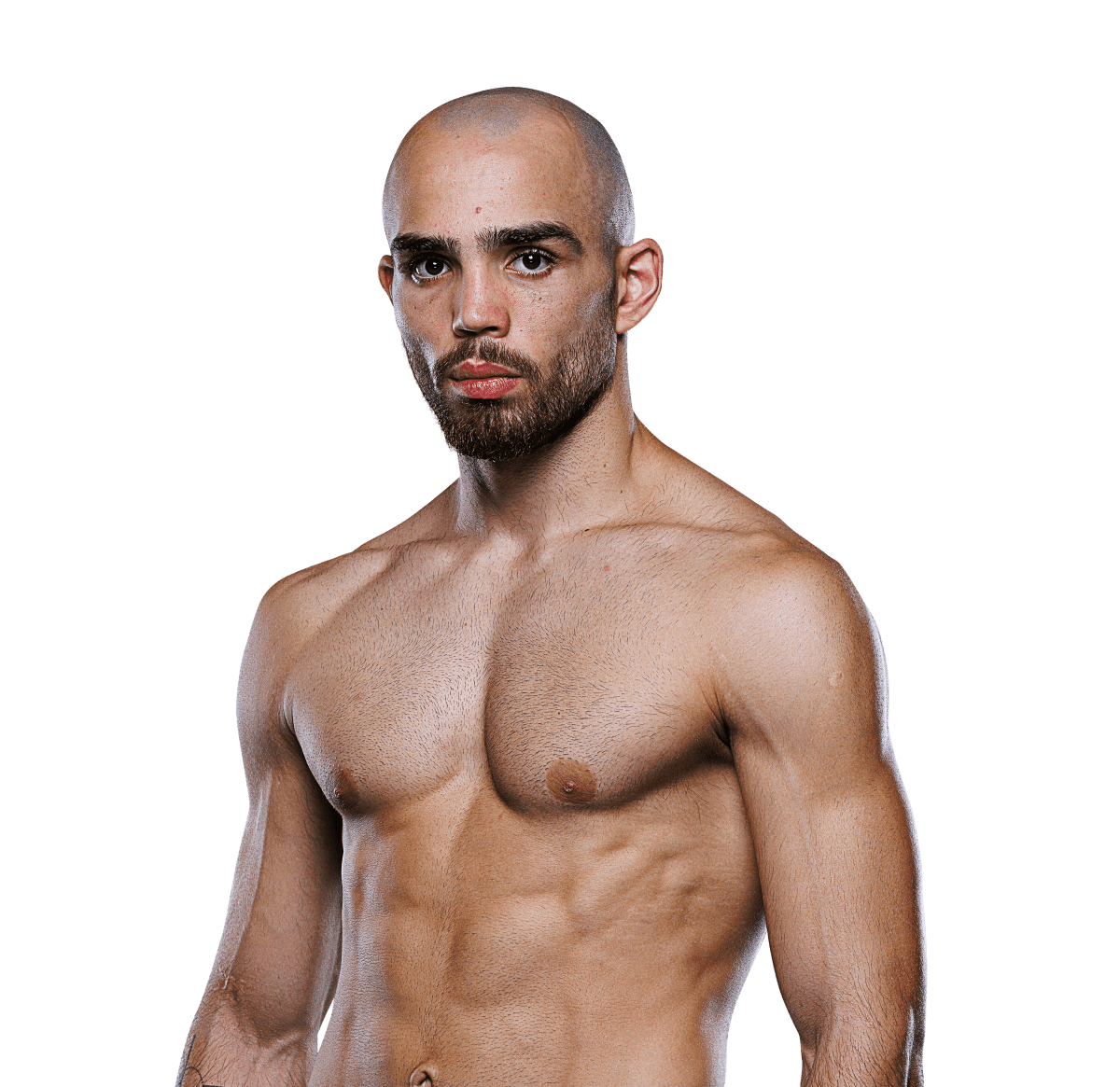 Ahad Varghaeian