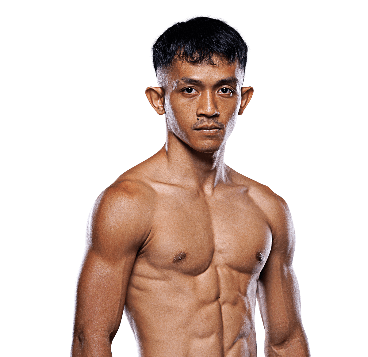 Delfan Dwi Satrio