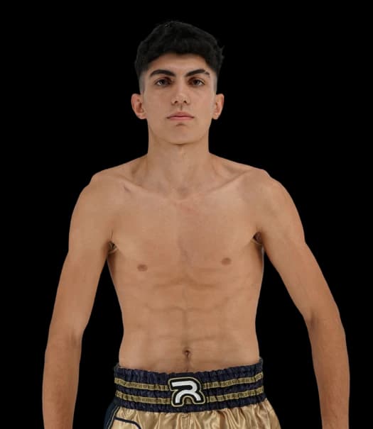 Amirhossein Afrouzeh