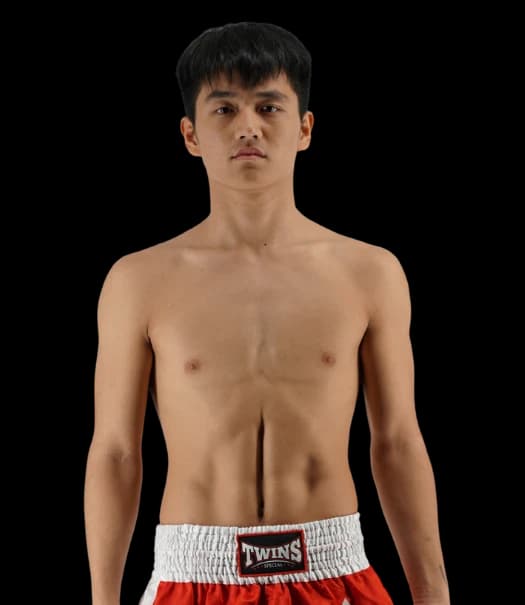 Guiyao Yang
