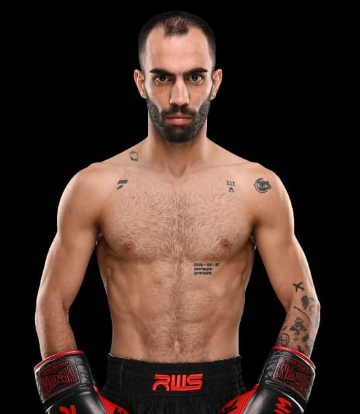 Amir Ershadi
