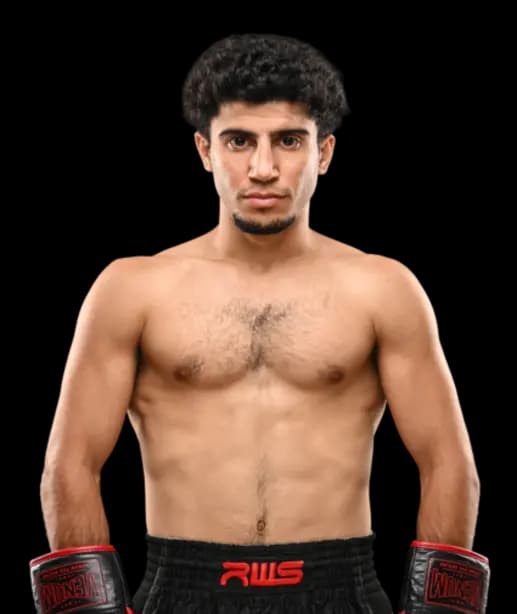 Amirhossein Zolfikopas