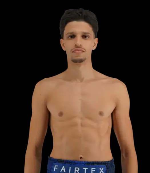 Abdel Majid Lasmane