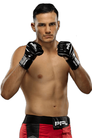 Luigi Vendramini