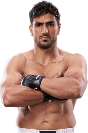 Mohsen Mohammadseifi